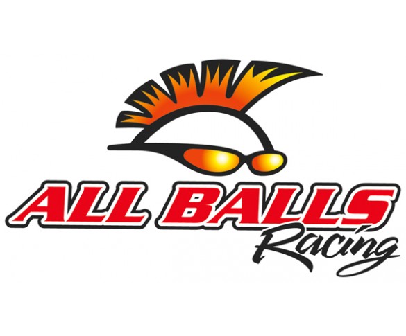 All Balls, Gaffelrenoveringssats