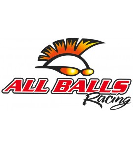 All Balls, Master Cylinder Renoveringskit Koppling