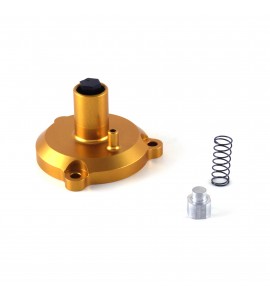 VHM, Power valve adjuster with compression spring