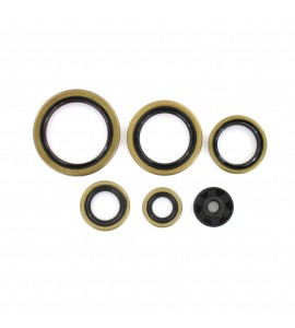 Holeshot, Packboxsats Motor