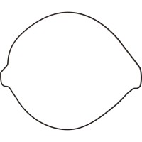 Vertex, Packning Kopplingskåpa